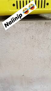 Profile for Joel Landicho