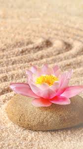 Zen Wallpaper Beautiful Wallpapers Flower Wallpaper