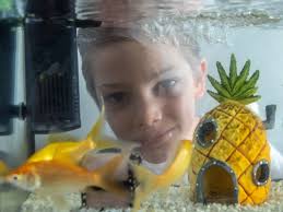 Jamie (8) koopt vissen voor eenzame Zwollenaren: 'Daar worden ze blij van' 