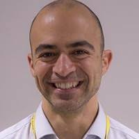 Button Man: Get Harry Ex by John Wagner