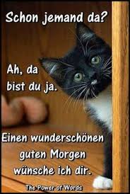 Da setzen die lustigen guten morgen sprüche an und lassen den tag durch humor einfacher beginnen. Die 460 Besten Ideen Zu Guten Morgen Freunde Guten Morgen Freunde Guten Morgen Guten Morgen Lustig