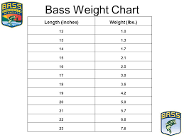 1 Weigh Master Training Program Minnesota B A S S Chapter