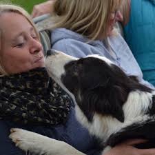 Fundraiser by Zoe Bond : Help Zoe's Van Life Fund !