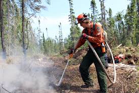 5 7 after the reesor siding strike of 1963 , cochrane was the site of the trial for 20 reesor siding farmers charged with the killing of 3 union employees. 15 New Forest Fires In Northwestern Ontario Tbnewswatch Com