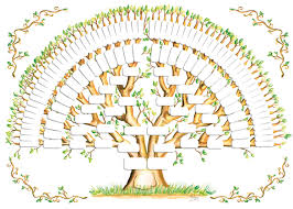 5 Generation Family Tree Template Tree Gallery Blank