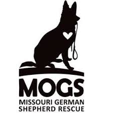 German shepherd puppies for and for good home. Missouri German Shepherd Rescue Home Facebook