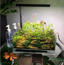 Aquascaping Fish Tank Accessories Aquarium Shop Fish Tank