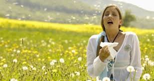 Evde Bitkisel Tedavi Ile Alerji Nasil Gecer Alerjiye Ne Iyi Gelir Iste Evde Dogal Ve Bitkisel Yontemler Saglik Haberleri