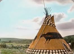 Black Buffalo Tipi Native American Photos Native American Culture Tipi