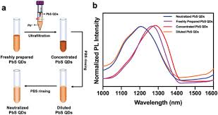 In Vivo Dynamic Monitoring Of Bacterial Infection By Nir Ii Fluorescence Imaging Chen 2020 Small Wiley Online Library