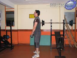 Https Encrypted Tbn0 Gstatic Com Images Q Tbn And9gcrzjdmculuswnt4m Sgmchu67vswgwqsrsx9a Usqp Cau