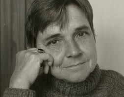 Category Search Test