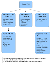 Image result for Thyroid Function Test