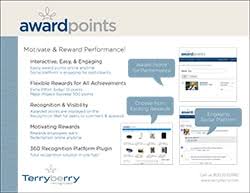 Performance Based Employee Awards Points Based Recognition
