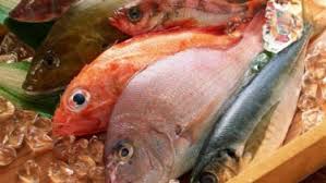 Ikan yang boleh dimakan penderita kolesterol berikutnya adalah ikan tuna. 5 Jenis Ikan Yang Aman Dikonsumsi Penderita Asam Urat Tinggi