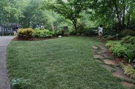 In Shade Mondo Grass Can Make A Nice Lawn Mondo Grass Grasses Landscaping Dwarf Mondo Grass
