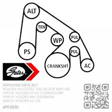 Vt Commodore Engine Belt Diagram