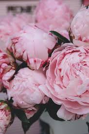 Fiorillusion realizza bouquet di fiori e mazzi di rose con consegna a domicilio a milano città. Peonia Incantevole Fugacita Weddings Co