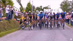 Tour de francespectator's sign causes massive pileup. Jqmqc5lssgv1xm