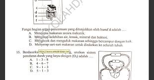 Download latihan soal un smp 2017 2018 kependidikan com. Soal Try Out Ujian Sekolah Sd Mapel Ipa Tahun 2020 Sekolahdasar Net