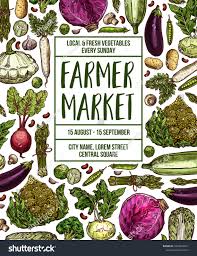 Vegetables Farmer Market Sketch Poster Vector Design Template Of Fresh Veggies And Natural Farm Organic Radish Farmers Market Vector Sketch Vegetable Farming