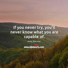 These cookies are necessary for the website to function and cannot be switched off. If You Never Try You Ll Never Know What You Are Capable Of Idlehearts
