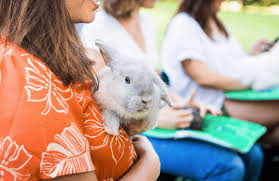 By educating children on these matters, we hope that they will see the importance of conservation, have a deeper value and respect for animals lives, and that. Office Party Tiny Tails To You