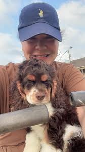 Meet my beautiful Boy Hadley . I'm looking for advice . His 1 years old and  I have to say he is grinding me down . The mouthing is constant , which