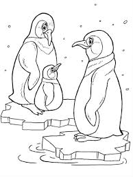 Animale polar animale de la poli iarna pinguini jocurile copiilor iarna poli animale salbatice animale domestice jocuri de iarna craiasa zapezii polul nord fram ursul polar mihai eminescu dinozauri eminescu povesti de iarna animale un set colorat de planșe a4 care prezintă animalele de la poli. Desene Cu Animale De La Polul Nord De Colorat Imagini È™i PlanÈ™e De Colorat Cu Animale De La Poli