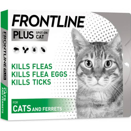 Frontline Plus Spot-On for Cats and Ferrets, AI generated