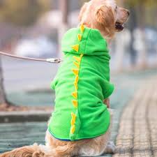 Shop dog dinosaur costume at target™. Top 7 Cutest Dog Dinosaur Costumes For 2021 Scout Knows