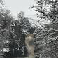 Winter Solstice  — Karenja Meditation & Holistic event image