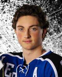 Fond du Lac Springs Ledgers