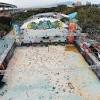 有機菠蘿園、羊駝樂園、機場核心計劃展覽中心、元朗腐竹館、流浮山海鮮餐 一天遊 嘉道理農場暨植物園、屯門爬蟲世界 一天遊 大澳漁村、棚屋、寶蓮寺、天壇大佛、昂坪市集、漁村海鮮宴 一天團 1