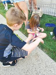 Maybe you would like to learn more about one of these? Https Www Mariettatimes Com News 2021 06 Library Holds Petting Zoo Event