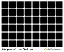 One of the first artists to use this theme regularly in the 1930s was victor vasarely. Great Optical Illusions Funny Photos And Images Brain Teasers Puzzles Count The Black Dots In The Pic Afterimage Illusion