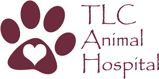 We did not find results for: Veterinarian In Boca Raton Fl Tlc Animal Hospital