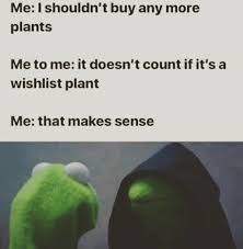 60 Plant Memes For You To Dig Through Plant Jokes Gardening Memes Gardening Humor