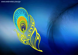 Classical fashionable embroidery beautiful peacocks feathers. Magic Peacock Feather