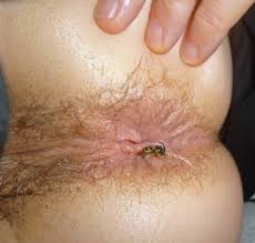 Male fun-maggots make him blow his load - Pornhub insect masturbation