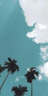 Simply click the photo and save. Summer Wallpaper For Iphone 30 Sun Filled Backgrounds For Summer In 2021 Wallpaper Iphone Summer Scenery Wallpaper Clouds Wallpaper Iphone