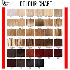 10 Veritable Hair Color Volume Chart