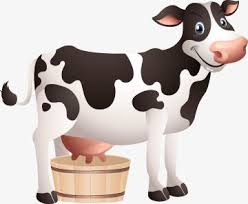 Cartoon Cow Cartoon Clipart Cow Clipart Cartoon Png Transparent Clipart Image And Psd File For Free Download Dairy Cow Art Cow Clipart Cartoon Cow