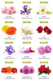 Birthday Flowers By Month I Am Doing My Family Birth Flowers On My Shoulder Flowertattoosonshoulde Birth Flower Tattoos Birth Month Flowers Birthday Flowers