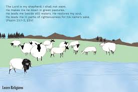 Check spelling or type a new query. The Lord Is My Shepherd Lessons From Psalm 23