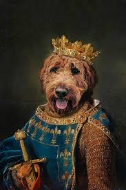 Check out what 76 people have written so far, and share your own experience. The King Custom Royal Pet Portrait Pet Canvas Royal Pet Dog Portrait Cat Portrait In 2021 Pet Portraits Gifts For Pet Lovers Dog Poster