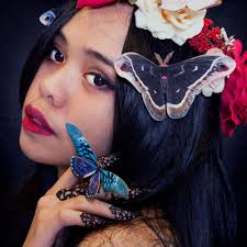 Realistic Dark Paper Moth Cutouts, Double-sided, Faux Deathhead Hawkmoth  Set