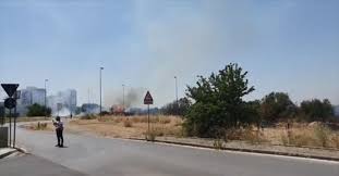 Jun 26, 2021 · un incendio è divampato questa notte in un'autorimessa sulla provinciale 231 tra sannicandro di bari e bitritto. Bitonto Vasto Incendio Nel Parco Naturale Di Lama Balice