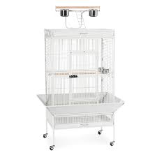 Bird Cage Seed Guard Petsmart Prevue Pet Products Signature Select Series Wrought Iron Bird Cage In Chalk White Large Parrot Cage Large Bird Cages Bird Cage