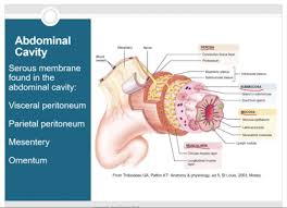 Macronutrients are the building blocks of our body. Chapter 16 Digestive System Flashcards Quizlet